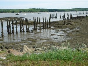 Mud flats today .. where long wharves once filled the Sheepscot River