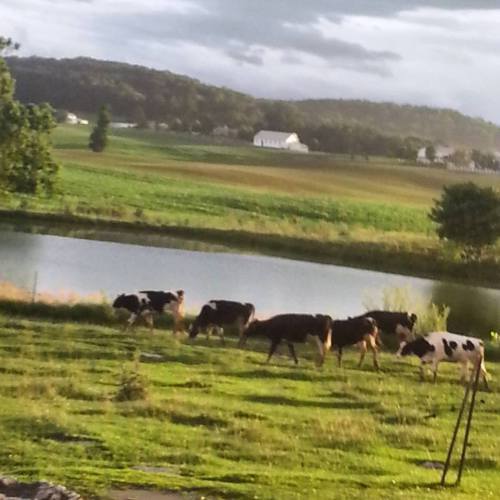 July 5th evening light in between rain storms