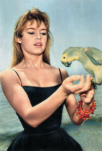 Brigitte Bardot