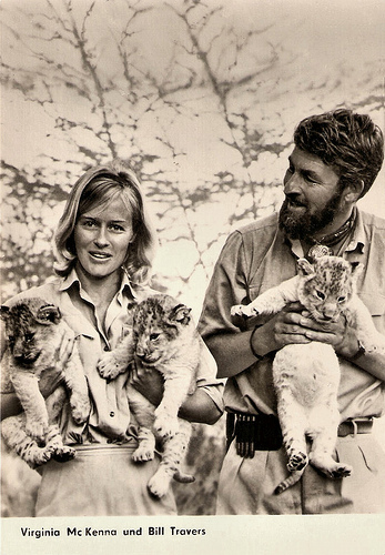 Virginia McKenna, Bill Travers
