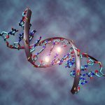 changes in organisms caused by the modification of gene expression.