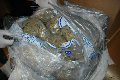 Gambino capo Michael "Mickey Boy" Paradiso's mob roots extend back to the tumultuous John Gotti reign, 