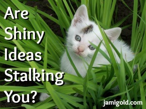 Kitten in tall grass with text: Are Shiny Ideas Stalking You?