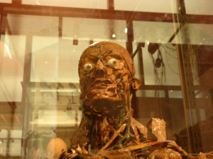 Musee Fragonard