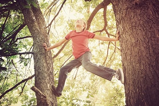 Climbing tree Charlie Hersman