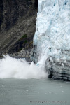 Glacier Bay