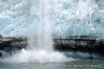 Glacier Bay
