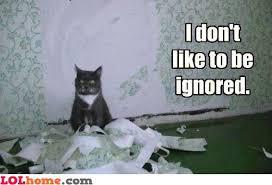 ignore