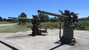 Fort Miles Two Guns