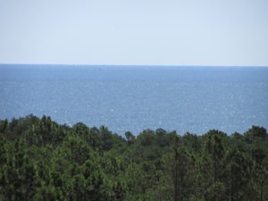 Ocean from Henlopen Tower