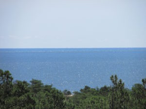 Ocean from Henlopen Tower2