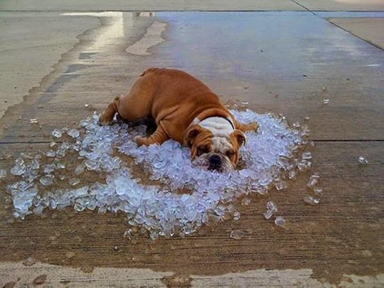  photo you know its hot when_zps40mqxuf6.jpg