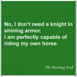 no knight in shining armor