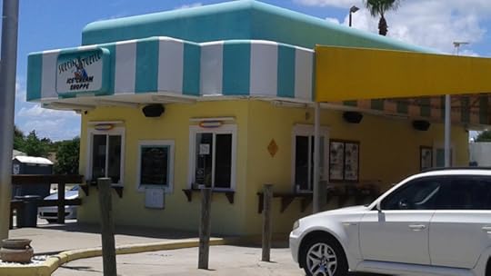 Surfin' Turtle front