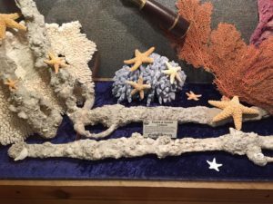 Fenwick Shipwreck Museum10