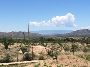 New Mexico