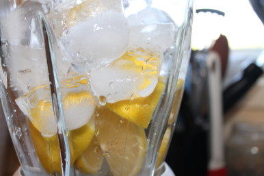 frozen lemonade (11)