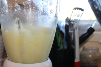 frozen lemonade (13)