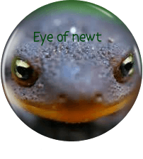 newt