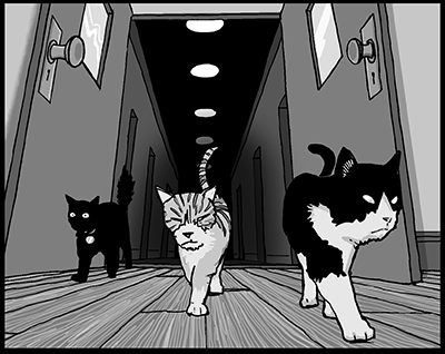 Three Cool Cats