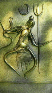 a71c9f95cfb6443c586f5c32710b9480