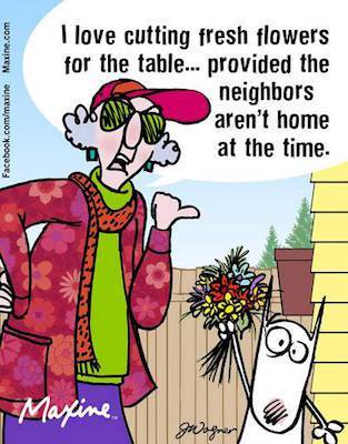 13265901_10153695528742945_4810261352552544901_n