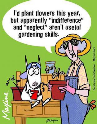 13427974_10153738764257945_8803374649649292630_n