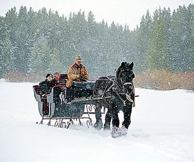 Horse Drawn Sleigh Ride.: 