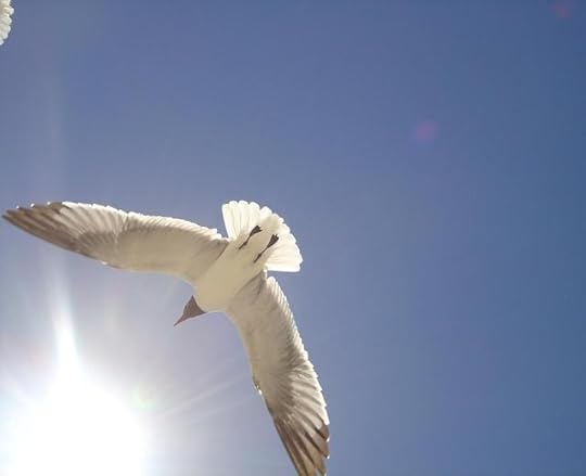 blog