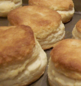 biscuits1a1