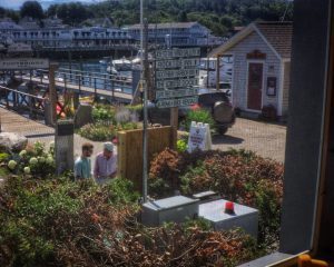 A portion of the view from the harbor side tavern.