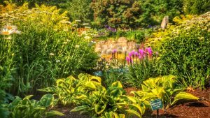 botanical garden 1