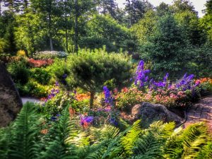 botanical garden 4