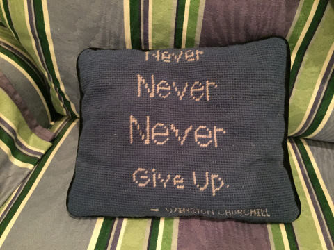 Never Pillow