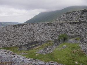 IMGP3955