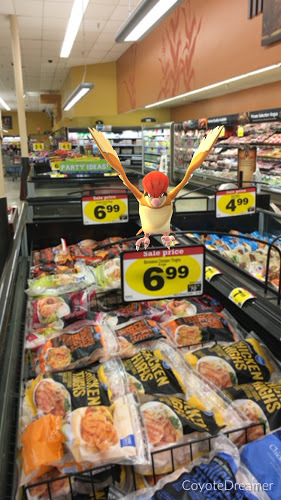 Pidgeotto protects his frozen cousins