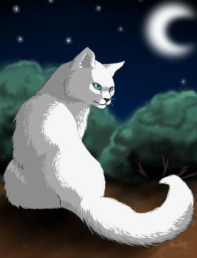 Totally Cloudtail butttt who cares? Cred to owner^ Name:Jaypaw Former mentors: Silverfeather, Cherryspark Age:6.5 moons at death. Gender: she-cat