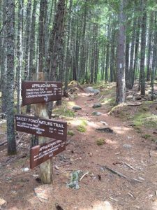 There's plenty of hiking to be had.