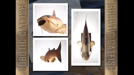cia catfish