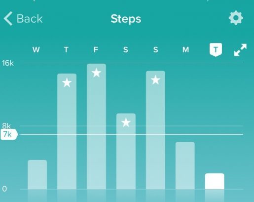 SDCC Fitbit stats