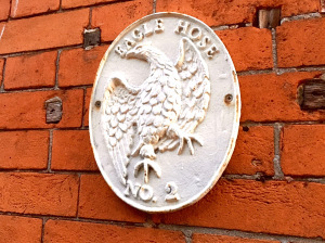 Firemarkeaglehoseno2