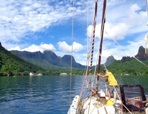 Cooks Bay