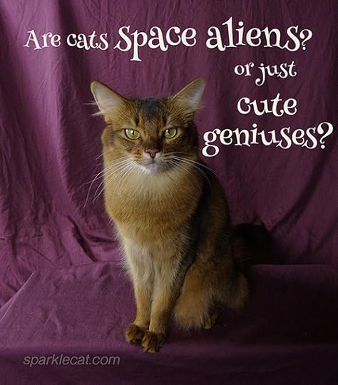 Are cats space aliens or just cute geniuses