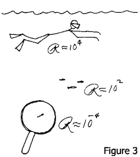 PurcellDrawing