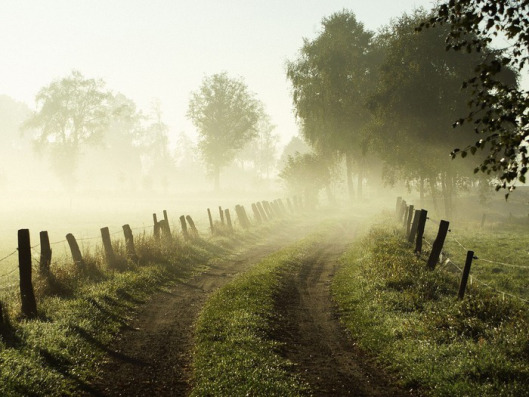 mists1