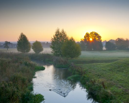 Mists3