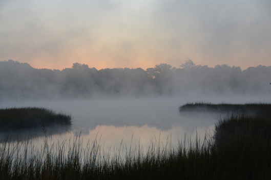 Mists4