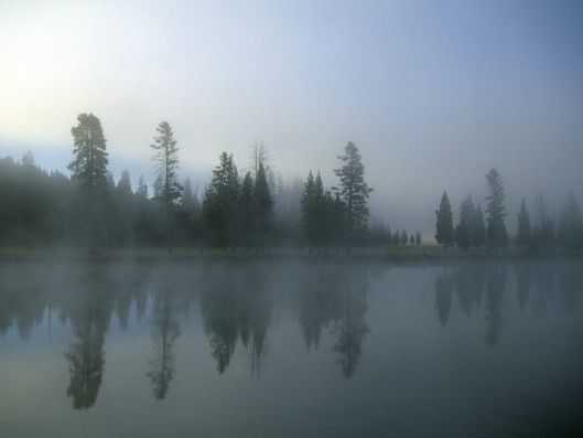 mists5