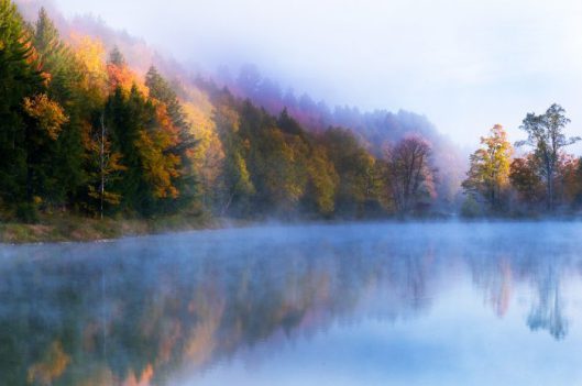 mists6