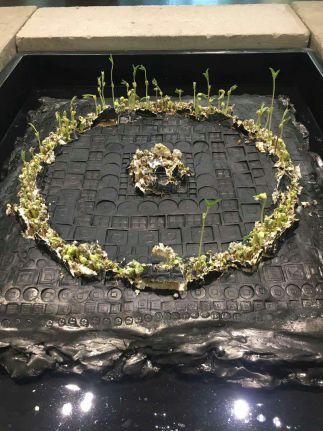 mmexport1469591984490